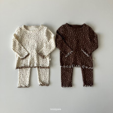 브로디제인-브라우니셋업