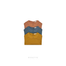 호제트-에이미카라T