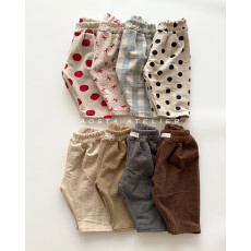 아오스타-루이스바지