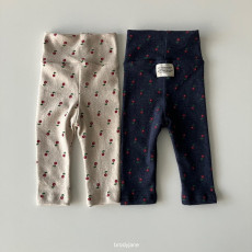 브로디제인-아네모네하이웨이스트