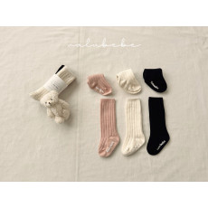 벨루베베-데일리골지삭스2