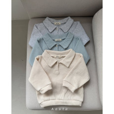 아오스타-와플카라티