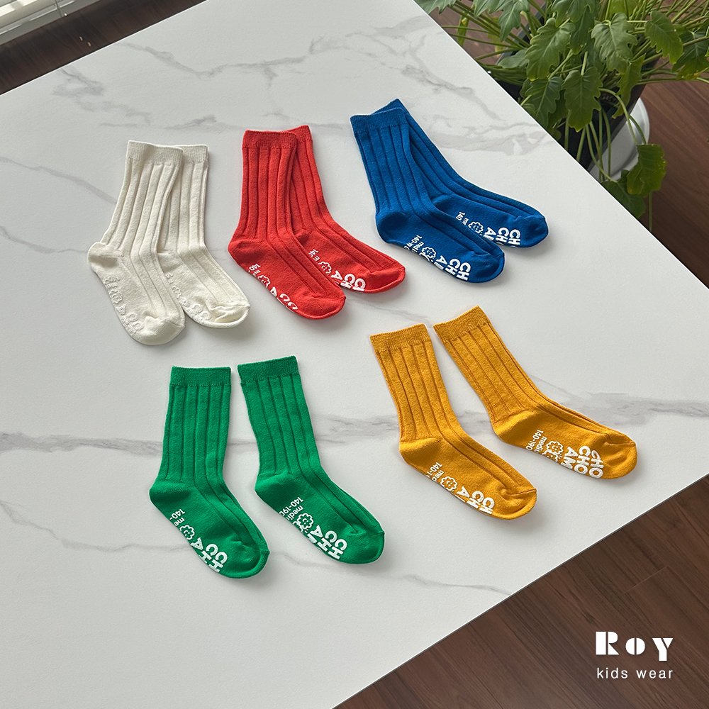 로이-원픽롱삭스