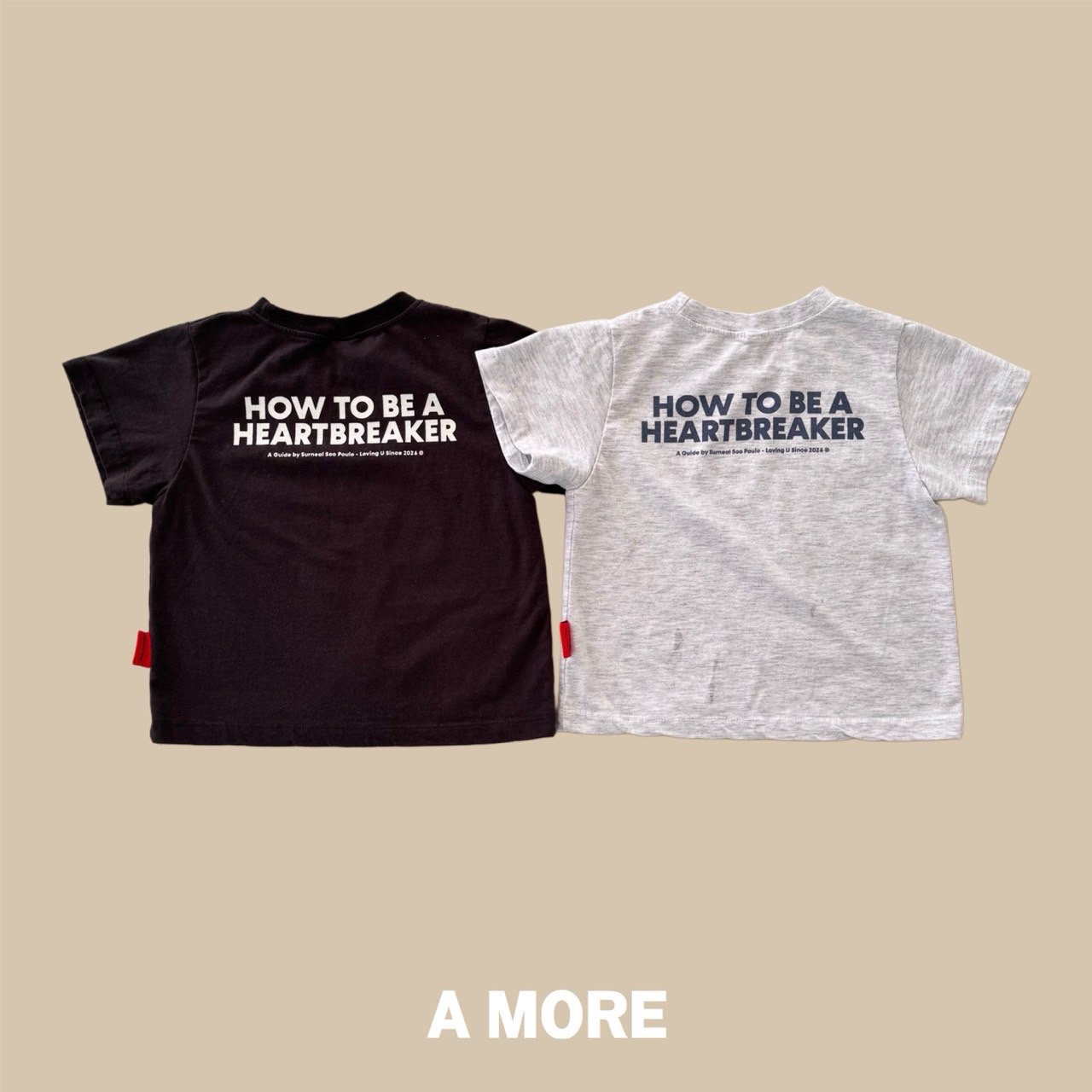 에이모어-하우티