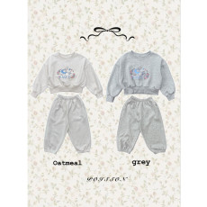 푸아송-엘리스셋업