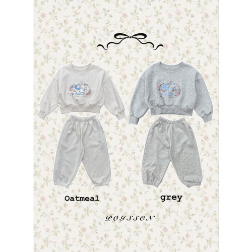 푸아송-엘리스셋업