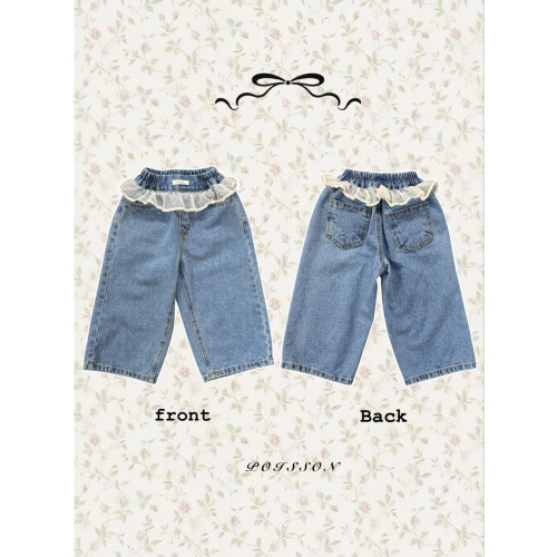 푸아송-슈슈레이스데님