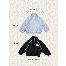 푸아송-브리즈윈드브레이커