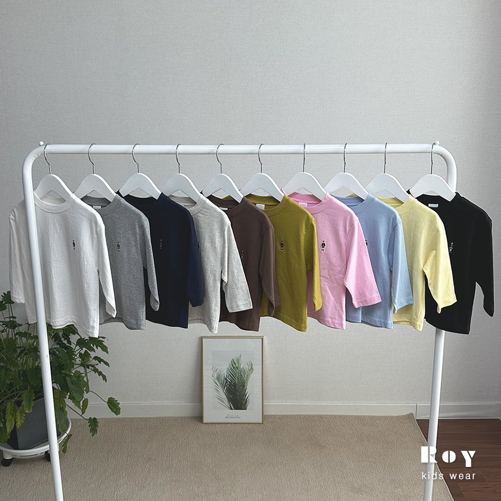 로이-토이무지티