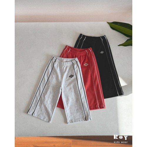 로이-데이라인PT