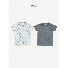 노이-체리핀코트티