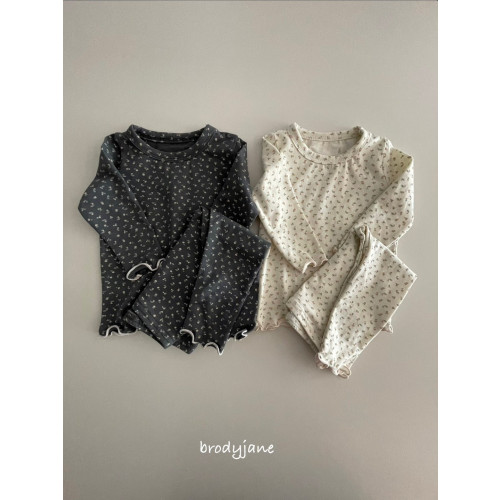 브로디제인-당근꽃셋업