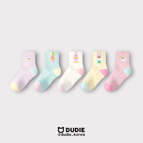 듀디-핑쿠토5종세트