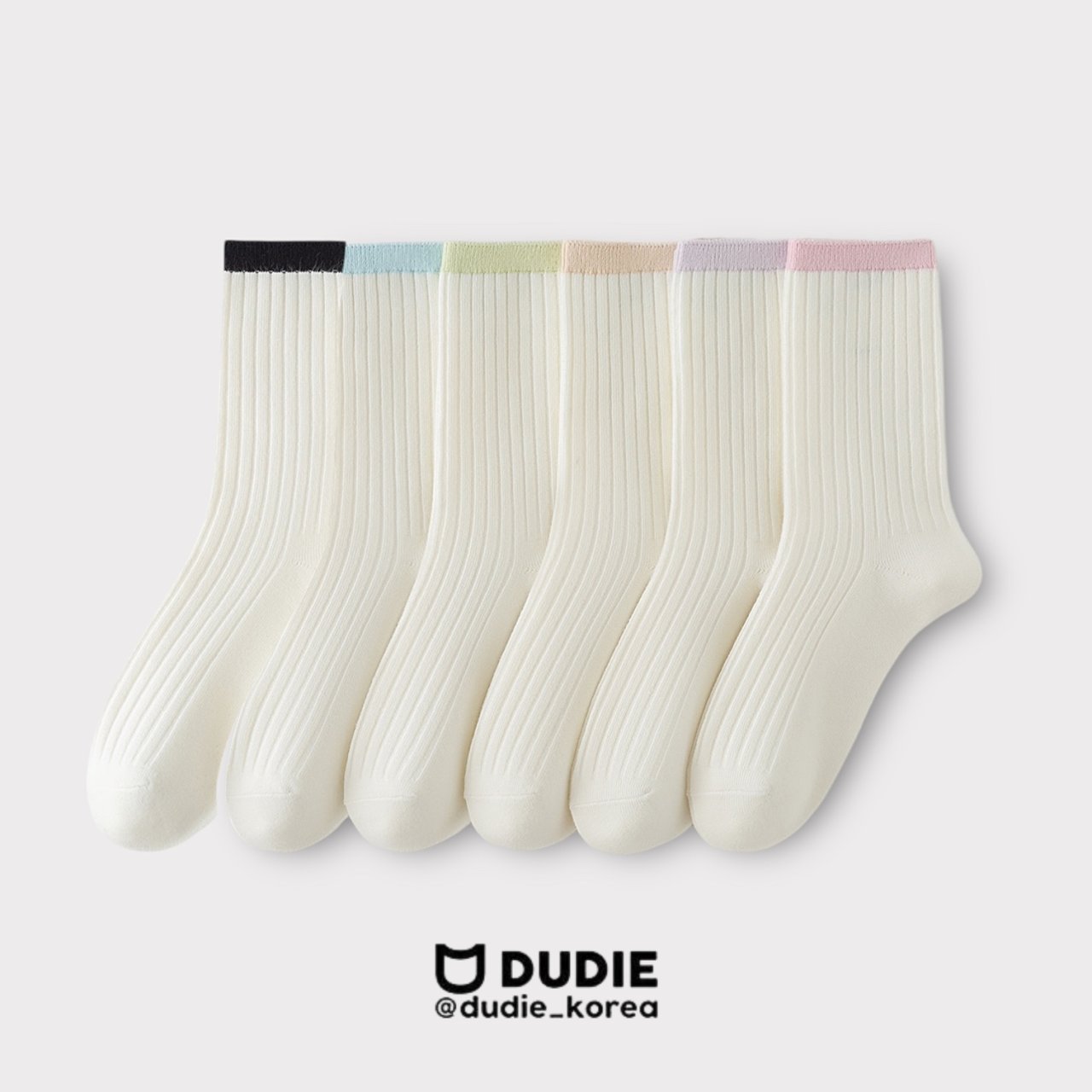 [여름]듀디-파모3종