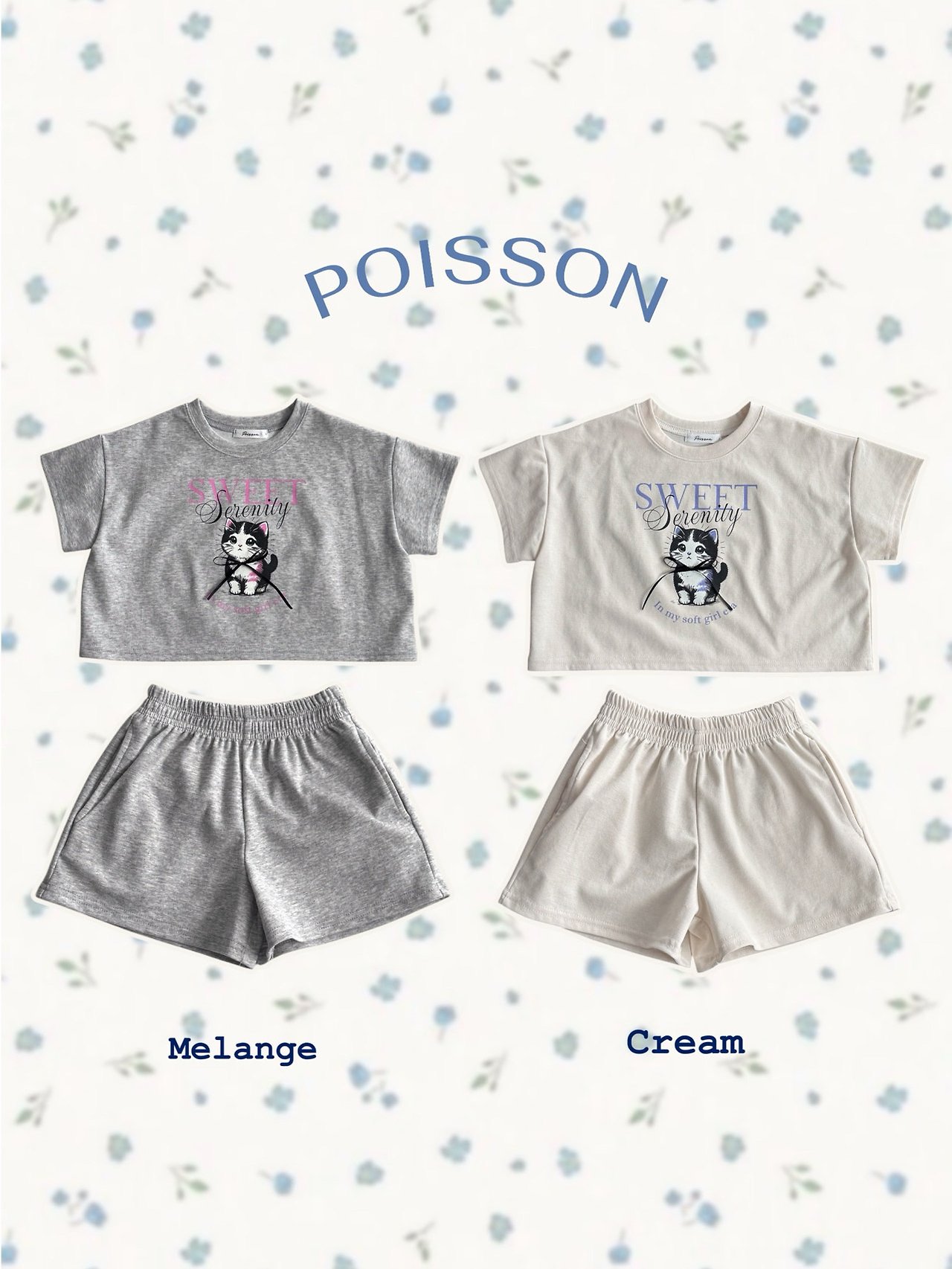 [여름]푸아송-스윗캣셋업