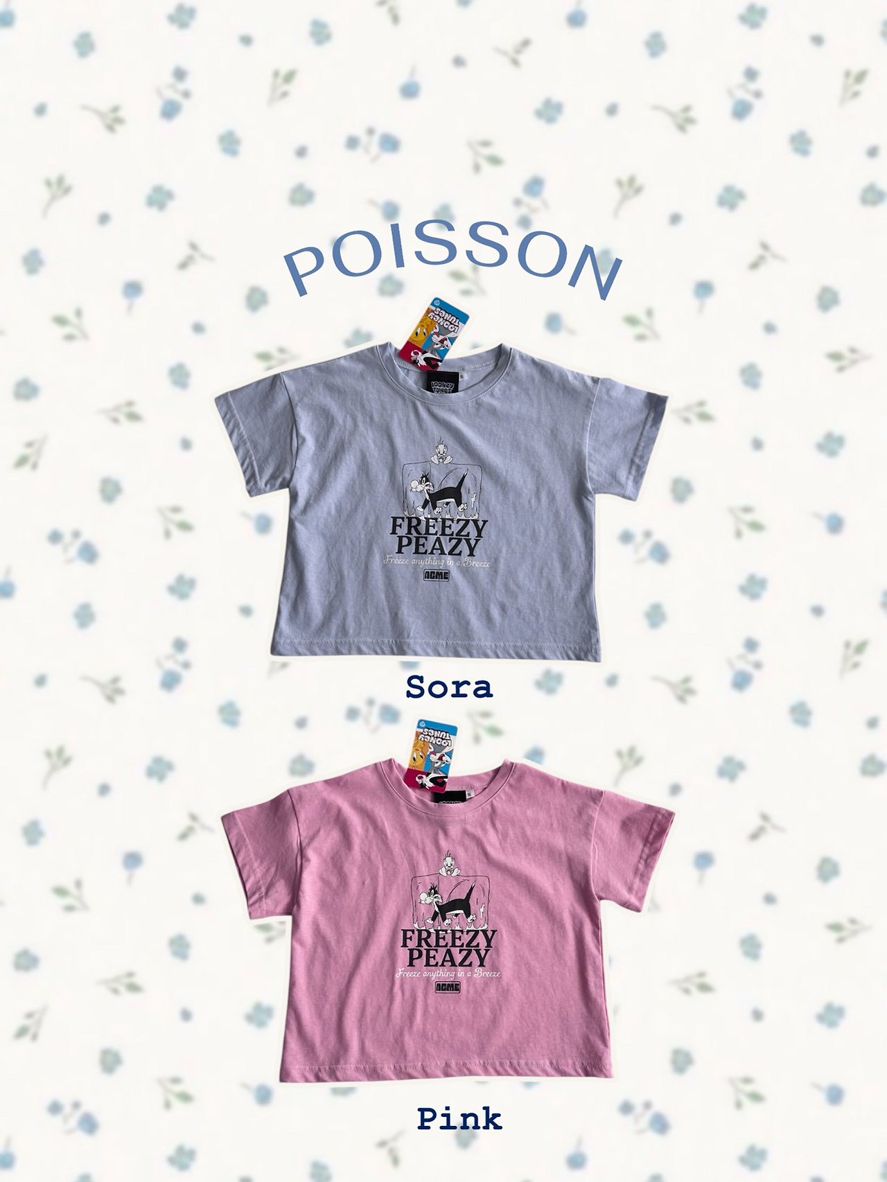 [여름]푸아송-루니툰그래픽티