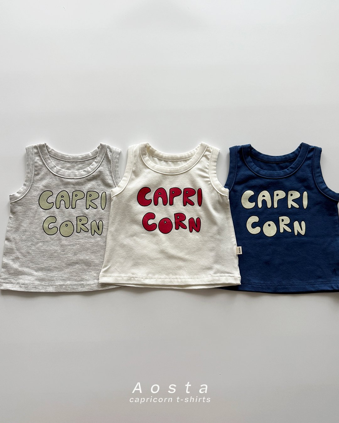 [여름]아오스타-카프리콘나시티