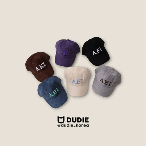 [가을]듀디-AEI캡